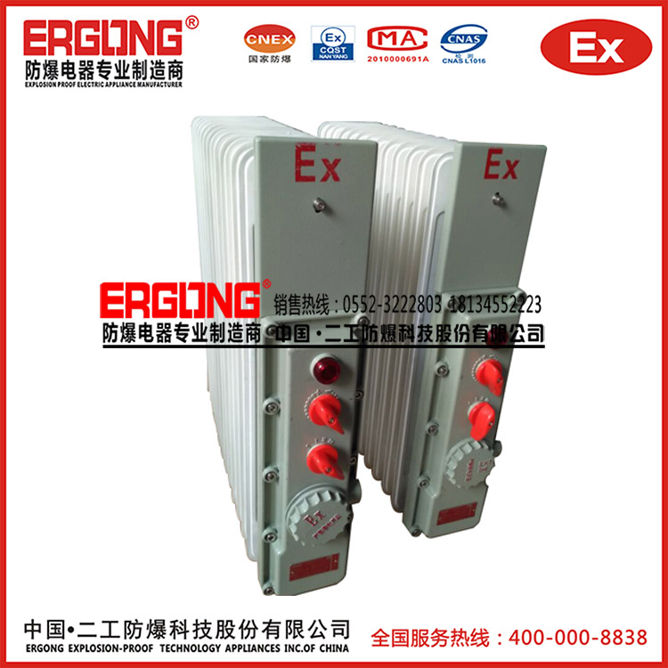 二工防爆電熱油汀取暖器生產(chǎn)廠(chǎng)家